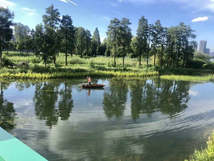 不朽情缘MG官方网站(试玩)游戏登录入口