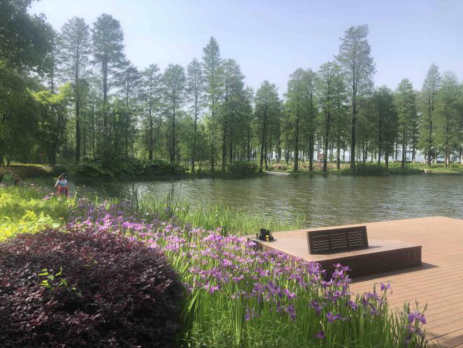 不朽情缘MG官方网站(试玩)游戏登录入口