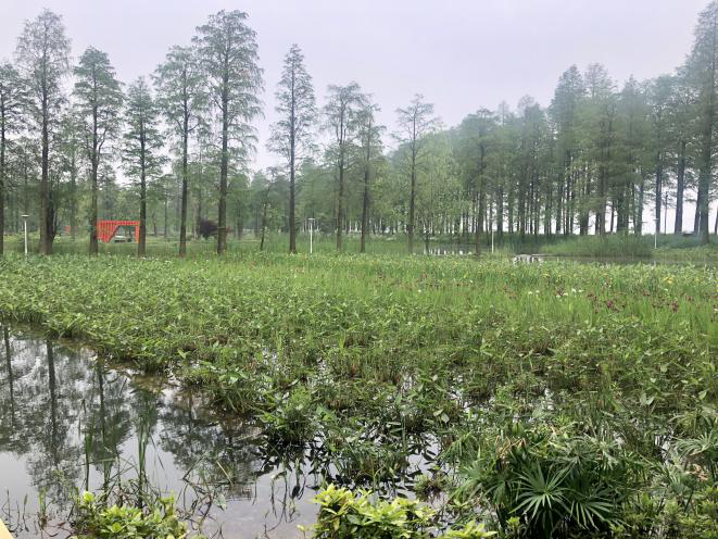 不朽情缘MG官方网站(试玩)游戏登录入口