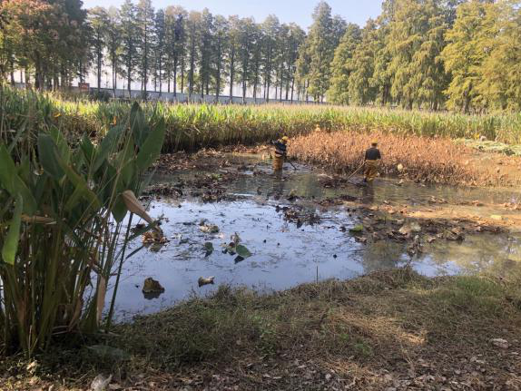 不朽情缘MG官方网站(试玩)游戏登录入口