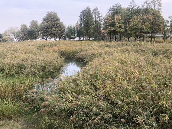 不朽情缘MG官方网站(试玩)游戏登录入口