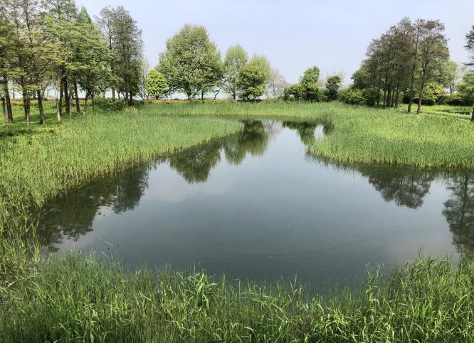 不朽情缘MG官方网站(试玩)游戏登录入口