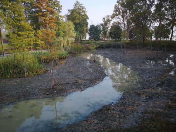 不朽情缘MG官方网站(试玩)游戏登录入口