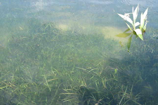 不朽情缘MG官方网站(试玩)游戏登录入口