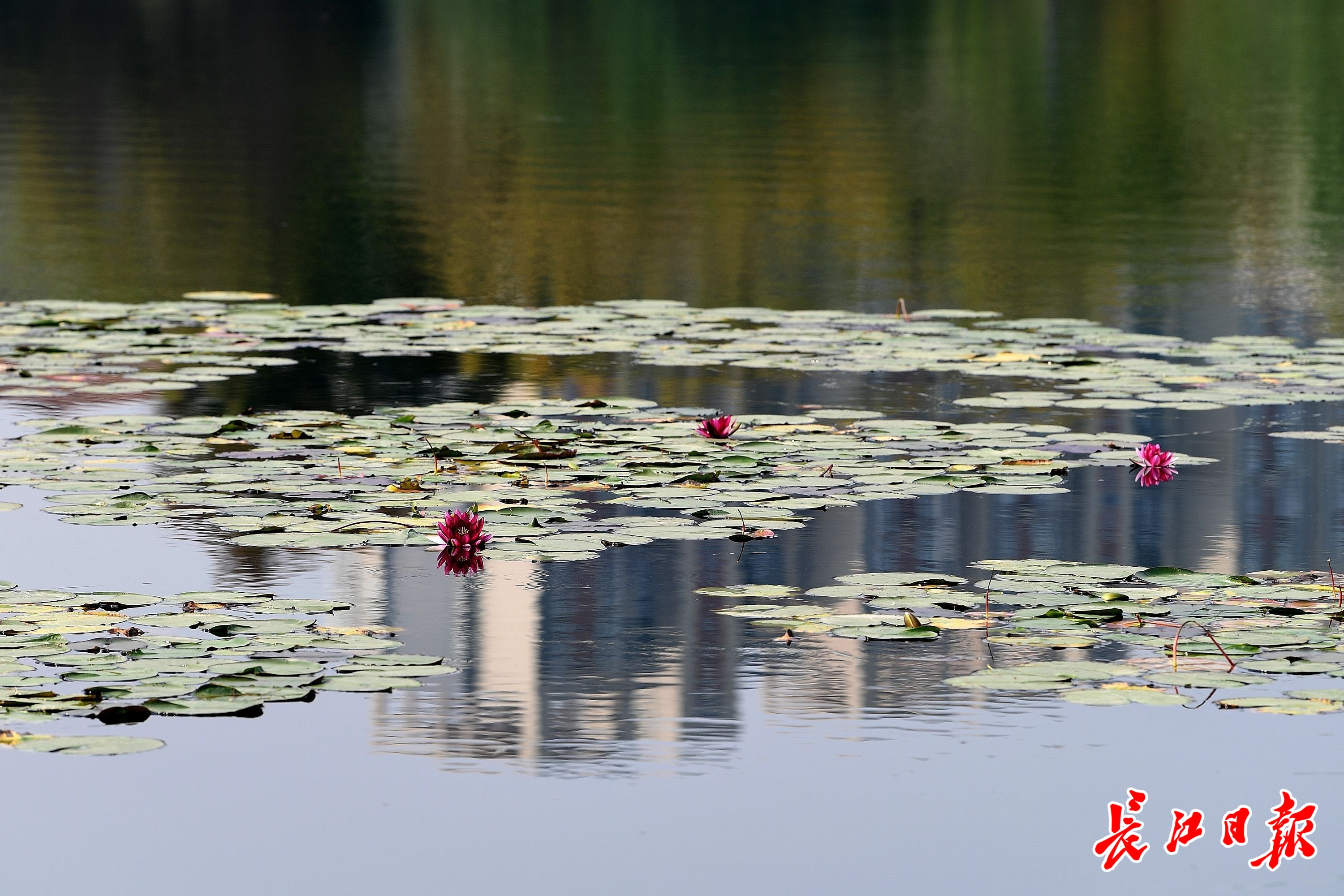 不朽情缘MG官方网站(试玩)游戏登录入口