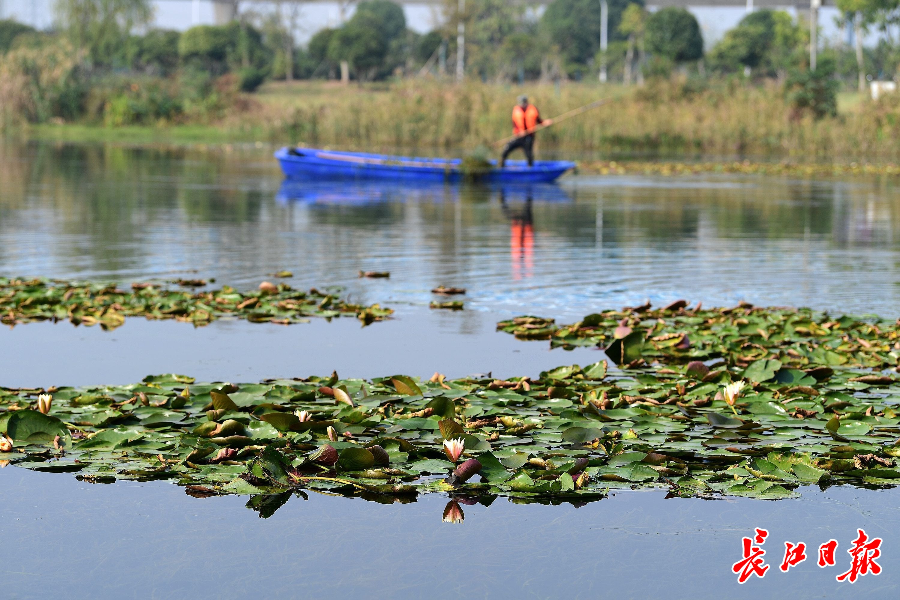不朽情缘MG官方网站(试玩)游戏登录入口