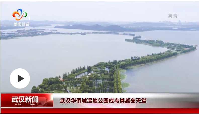 不朽情缘MG官方网站(试玩)游戏登录入口