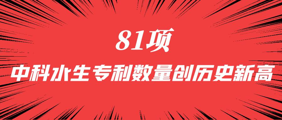 不朽情缘MG官方网站(试玩)游戏登录入口