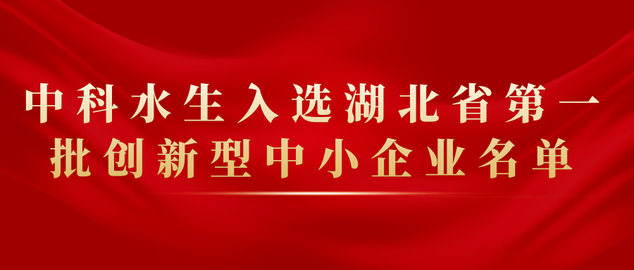 不朽情缘MG官方网站(试玩)游戏登录入口