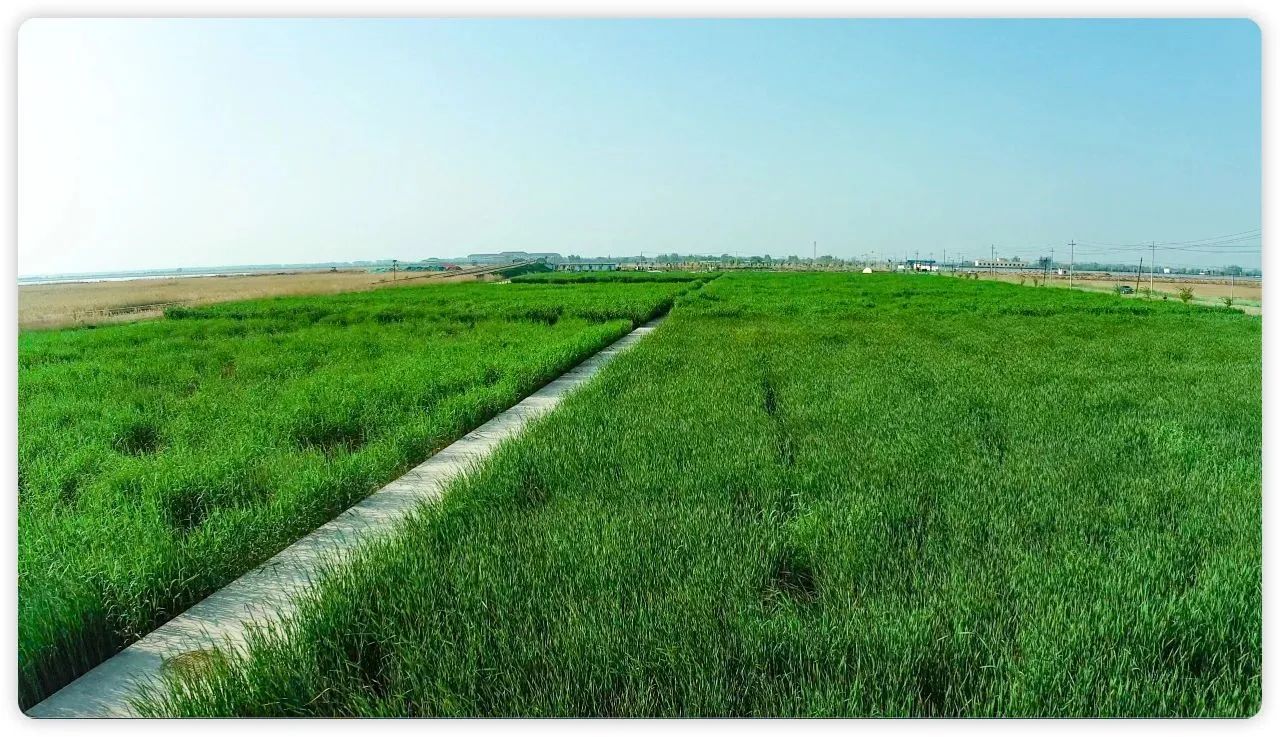 不朽情缘MG官方网站(试玩)游戏登录入口