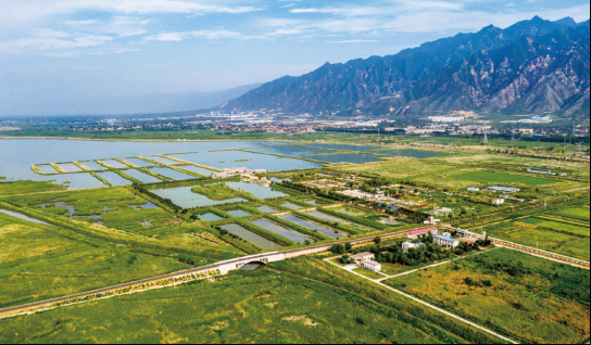 不朽情缘MG官方网站(试玩)游戏登录入口