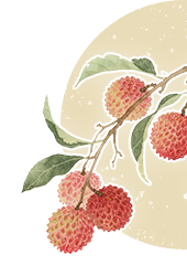 首页| 和记H88集团怡情博娱官网